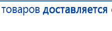 Электроды Скэнар -  двойной овал 55х90 мм купить в Мичуринске, Электроды Скэнар купить в Мичуринске, Скэнар официальный сайт - denasvertebra.ru