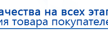 Носки электроды купить в Мичуринске, Электроды Меркурий купить в Мичуринске, Скэнар официальный сайт - denasvertebra.ru