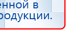 СКЭНАР-1-НТ (исполнение 01)  купить в Мичуринске, Аппараты Скэнар купить в Мичуринске, Скэнар официальный сайт - denasvertebra.ru
